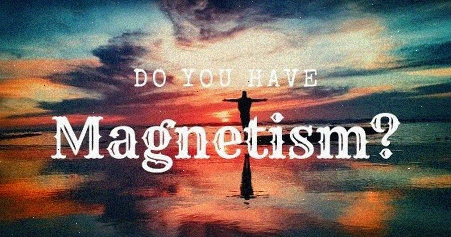 personal magnetism training business